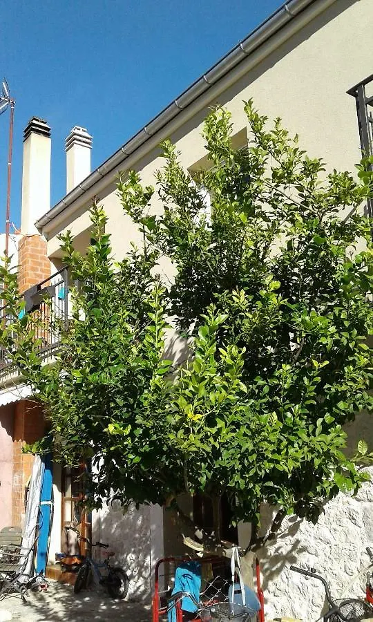 Apartment Wolverine Residence Zadar Croatia